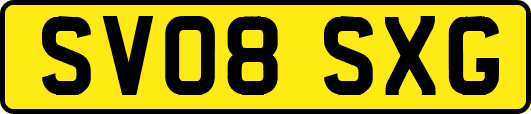 SV08SXG