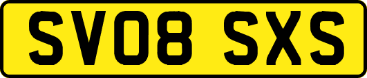 SV08SXS