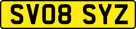 SV08SYZ