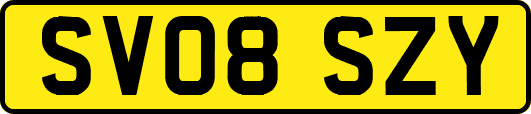SV08SZY