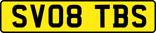 SV08TBS