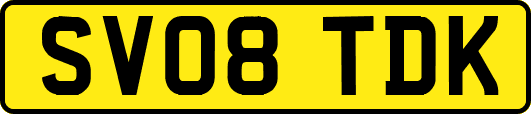 SV08TDK