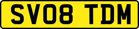 SV08TDM