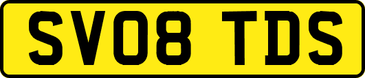 SV08TDS