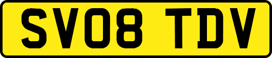 SV08TDV