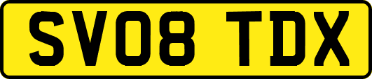 SV08TDX