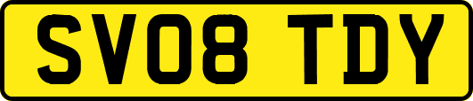 SV08TDY