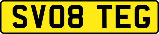 SV08TEG