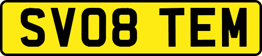 SV08TEM
