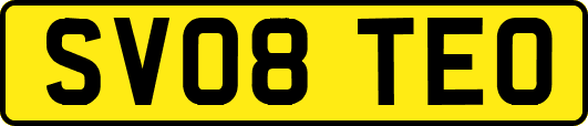 SV08TEO