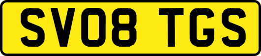 SV08TGS
