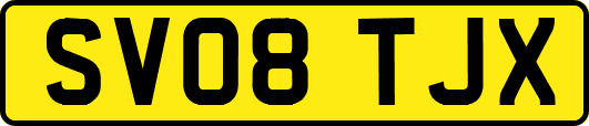SV08TJX