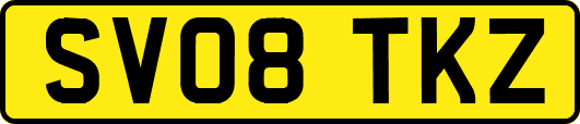 SV08TKZ