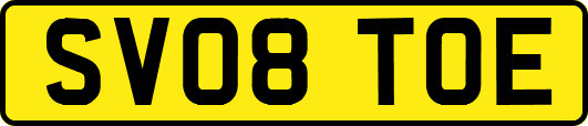 SV08TOE