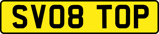 SV08TOP