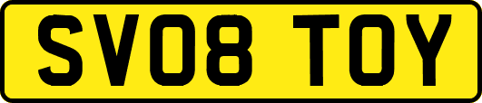 SV08TOY