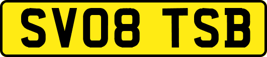 SV08TSB