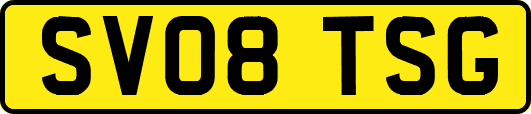 SV08TSG