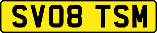 SV08TSM
