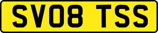 SV08TSS