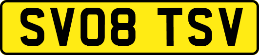 SV08TSV
