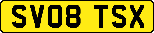 SV08TSX