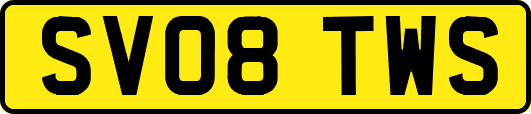 SV08TWS