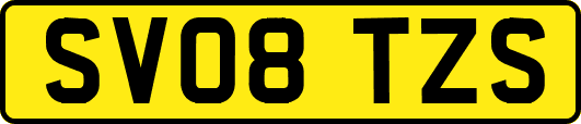 SV08TZS