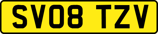 SV08TZV