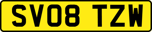 SV08TZW