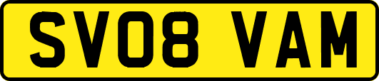 SV08VAM
