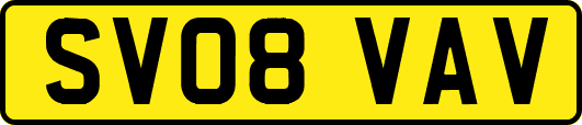 SV08VAV