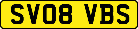 SV08VBS