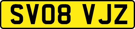 SV08VJZ