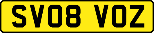 SV08VOZ