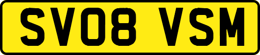 SV08VSM
