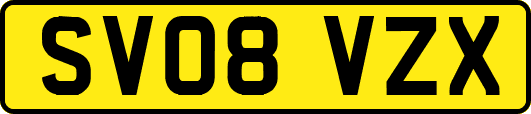 SV08VZX