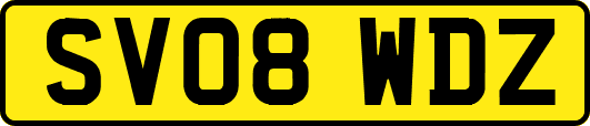 SV08WDZ