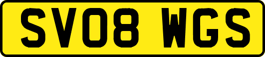 SV08WGS