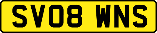 SV08WNS