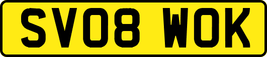 SV08WOK