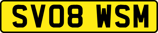 SV08WSM