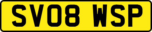 SV08WSP