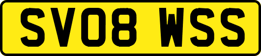 SV08WSS