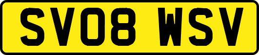 SV08WSV