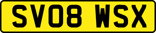 SV08WSX