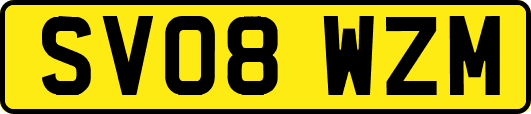 SV08WZM