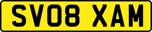 SV08XAM