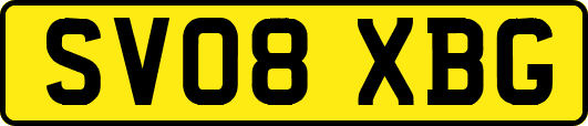 SV08XBG
