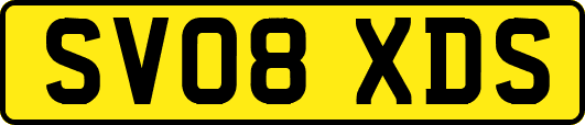 SV08XDS